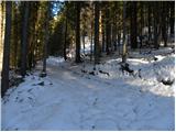 Pri Jalnu / Fusine Laghi - Kopa / Monte Coppa